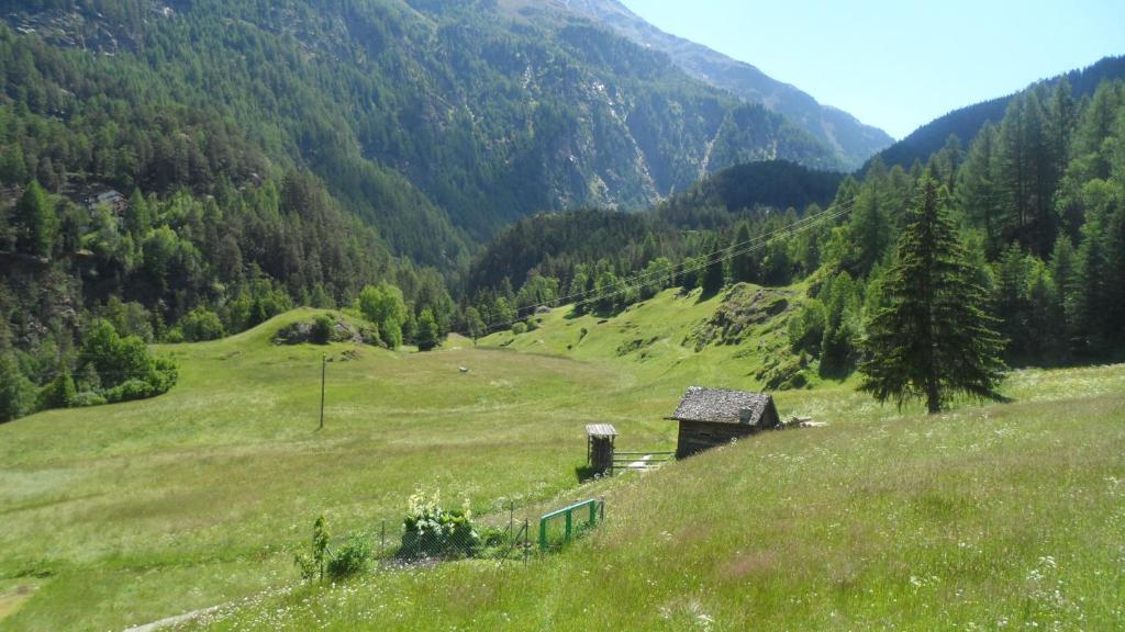 Pension Fiegl Sölden Exterior foto